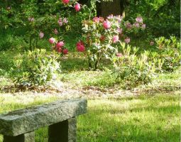 Un des nombreux bancs présents dans le parc