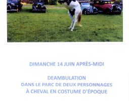 Déambulation 14 juin