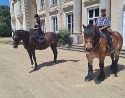 Déambulation à cheval