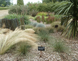 Jardin américain