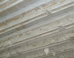 Plafond de la salle à manger.