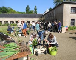 Troc plantes 