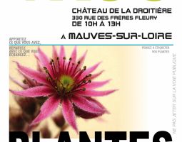 Troc-Plantes d'automne