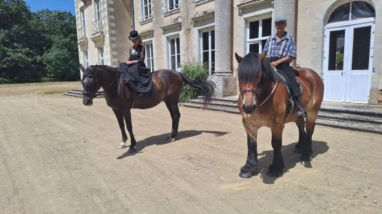 Déambulation à cheval