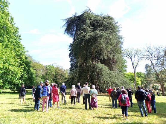 Visite du parc