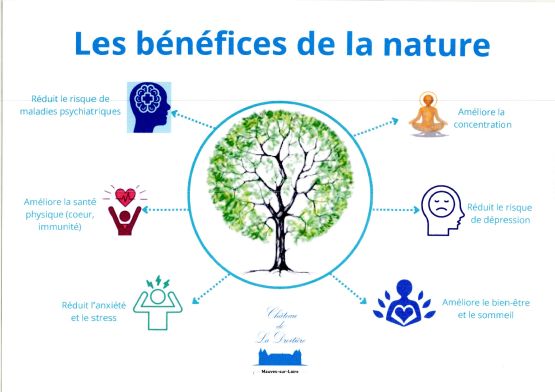 Les bienfaits de la nature