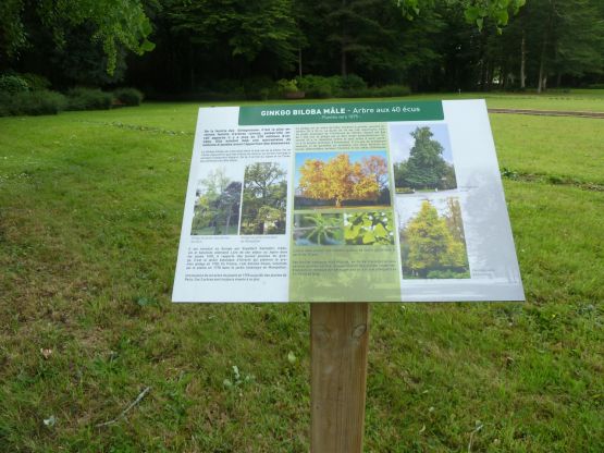 Panneau d'un arbre.