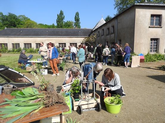 Troc plantes 
